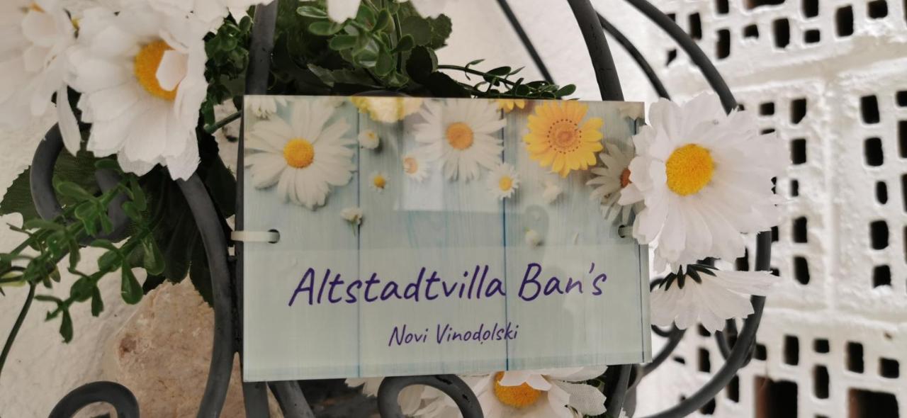 Altstadtvilla Ban'S نوفي فينودولسكي المظهر الخارجي الصورة